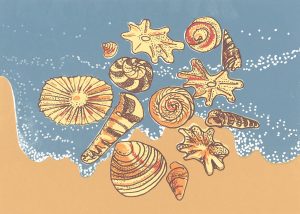 6288_Marisa Ross_beach shells_FF_Web